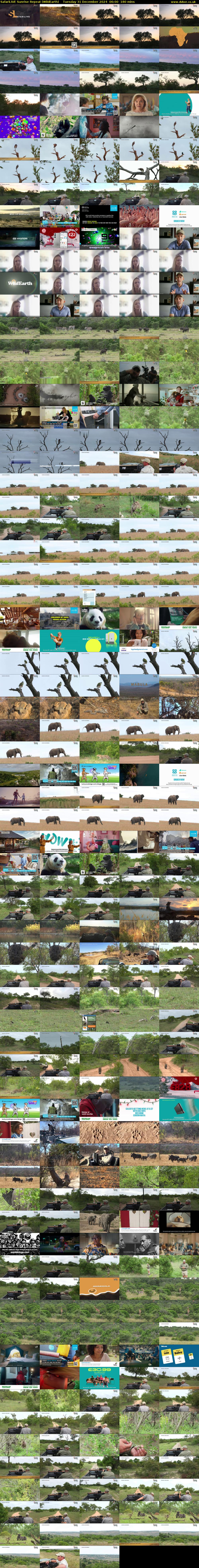 SafariLIVE Sunrise REPEAT (WildEarth) Tuesday 31 December 2024 06:00 - 09:00