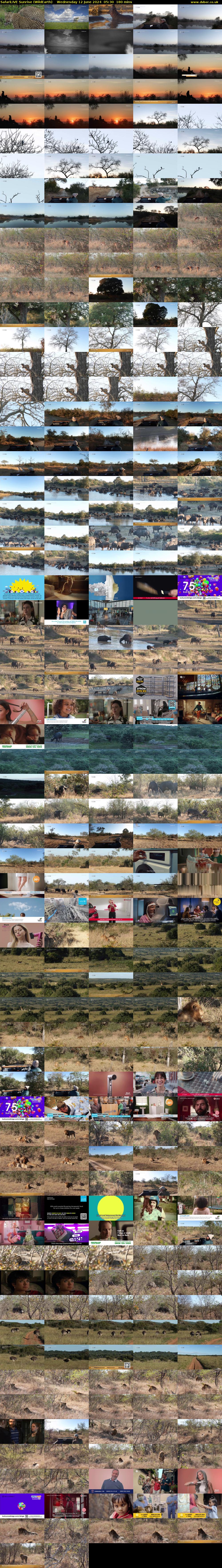 SafariLIVE Sunrise (WildEarth) Wednesday 12 June 2024 05:30 - 08:30