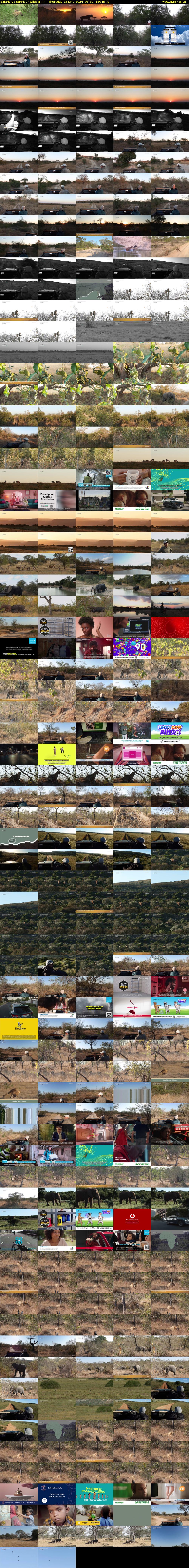 SafariLIVE Sunrise (WildEarth) Thursday 13 June 2024 05:30 - 08:30