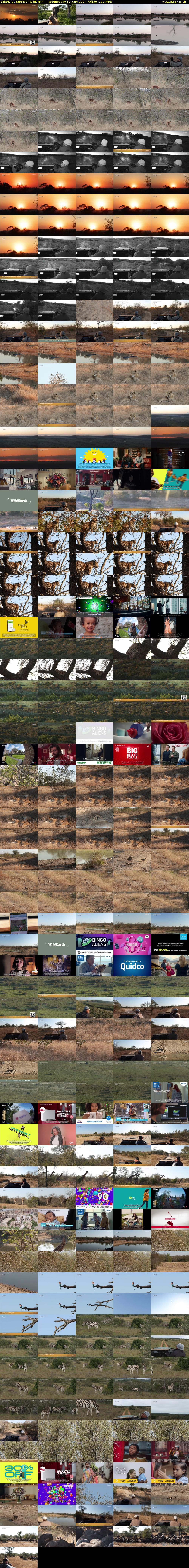 SafariLIVE Sunrise (WildEarth) Wednesday 19 June 2024 05:30 - 08:30