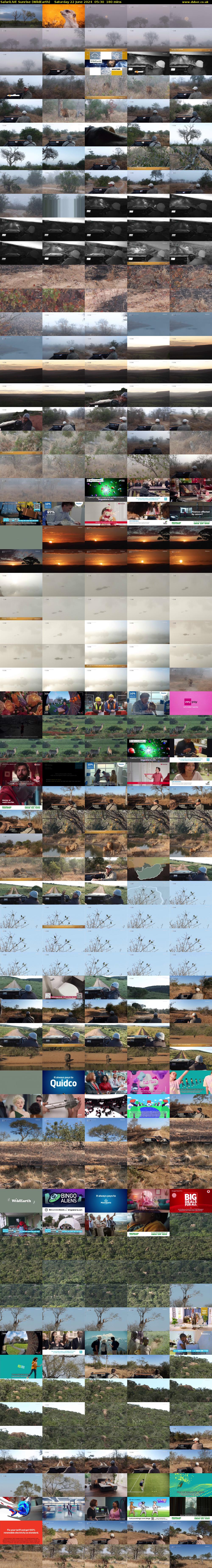 SafariLIVE Sunrise (WildEarth) Saturday 22 June 2024 05:30 - 08:30