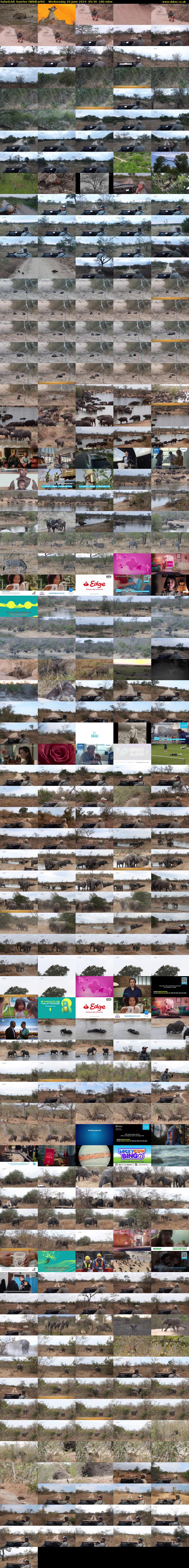 SafariLIVE Sunrise (WildEarth) Wednesday 26 June 2024 05:30 - 08:30