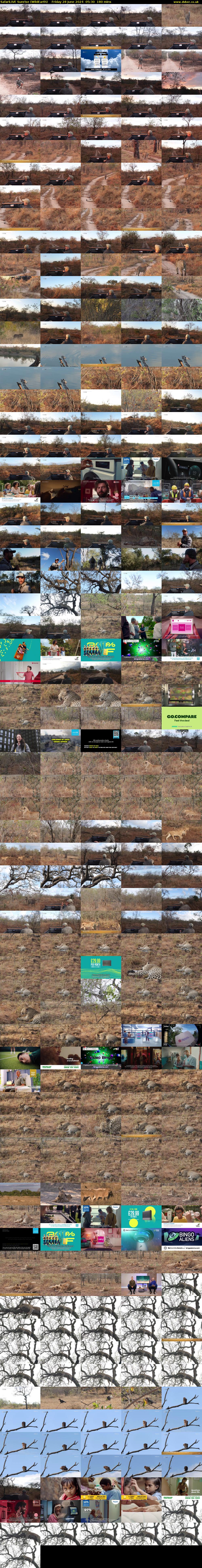 SafariLIVE Sunrise (WildEarth) Friday 28 June 2024 05:30 - 08:30