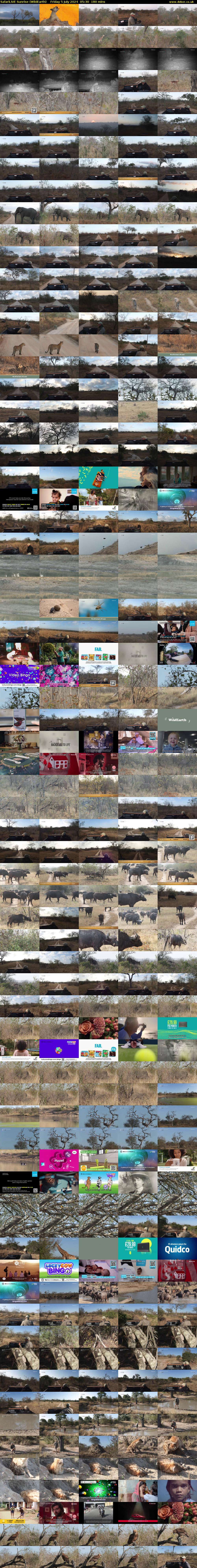 SafariLIVE Sunrise (WildEarth) Friday 5 July 2024 05:30 - 08:30