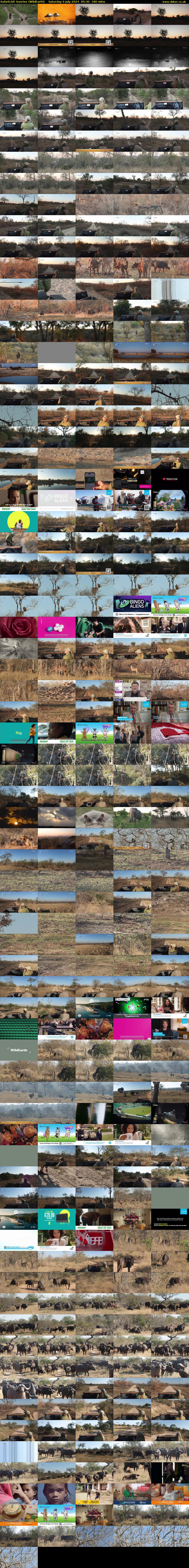 SafariLIVE Sunrise (WildEarth) Saturday 6 July 2024 05:30 - 08:30