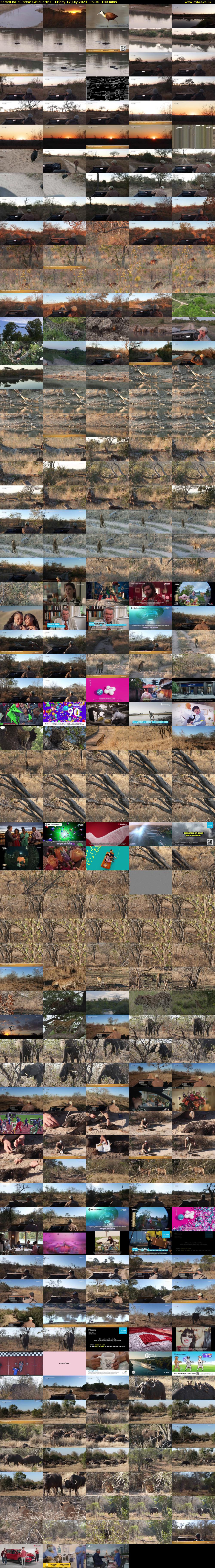 SafariLIVE Sunrise (WildEarth) Friday 12 July 2024 05:30 - 08:30