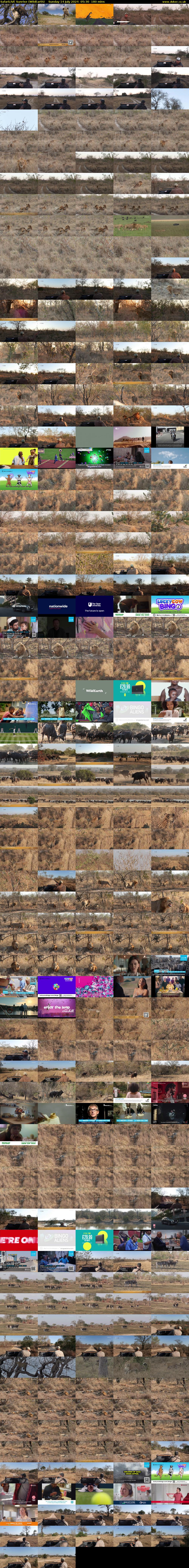 SafariLIVE Sunrise (WildEarth) Sunday 14 July 2024 05:30 - 08:30