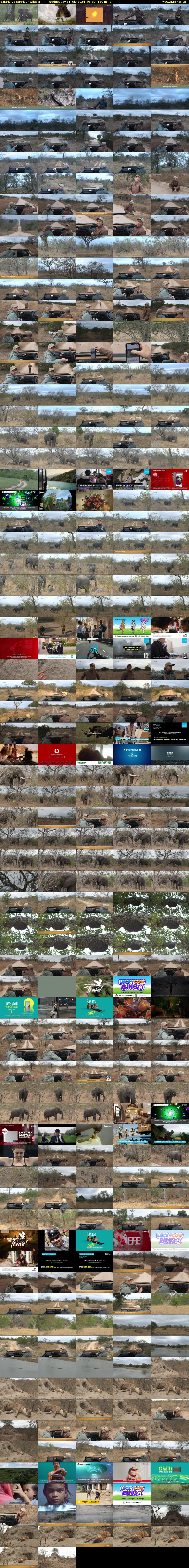SafariLIVE Sunrise (WildEarth) Wednesday 31 July 2024 05:30 - 08:30