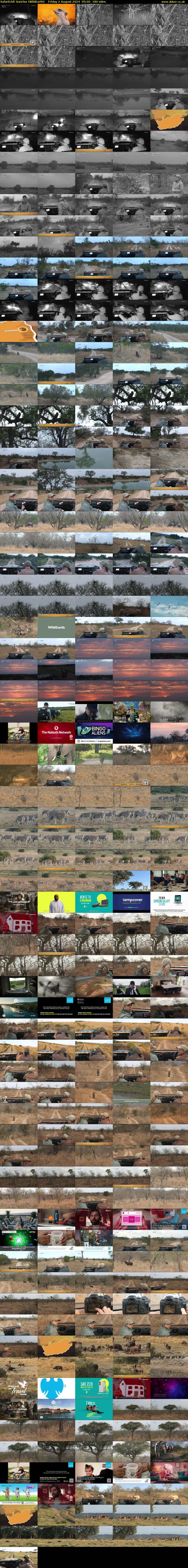 SafariLIVE Sunrise (WildEarth) Friday 2 August 2024 05:00 - 08:00
