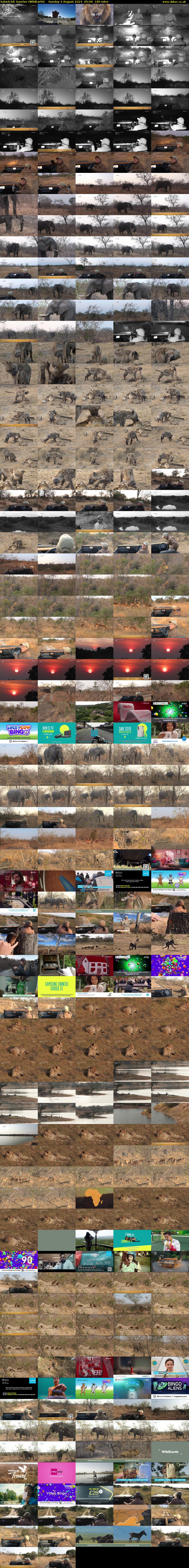 SafariLIVE Sunrise (WildEarth) Sunday 4 August 2024 05:00 - 08:00