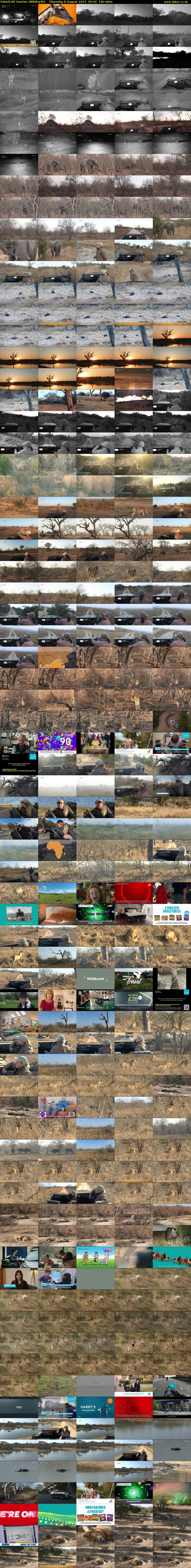 SafariLIVE Sunrise (WildEarth) Thursday 8 August 2024 05:00 - 08:00