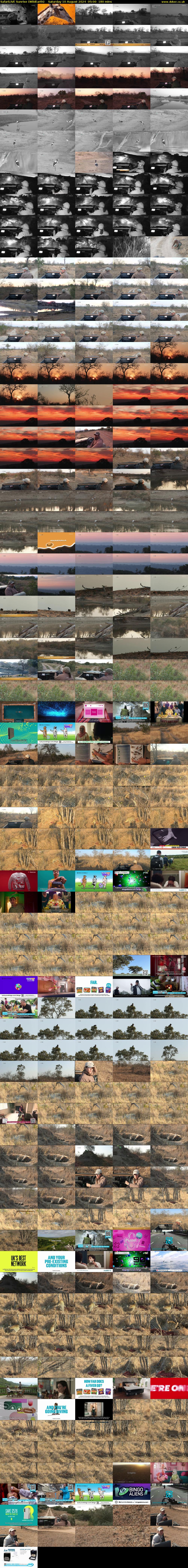SafariLIVE Sunrise (WildEarth) Saturday 10 August 2024 05:00 - 08:00