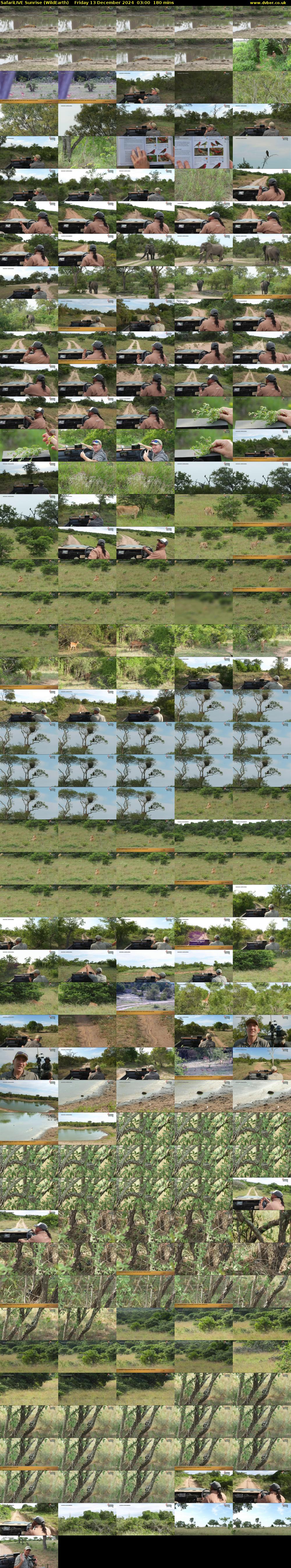 SafariLIVE Sunrise (WildEarth) Friday 13 December 2024 03:00 - 06:00