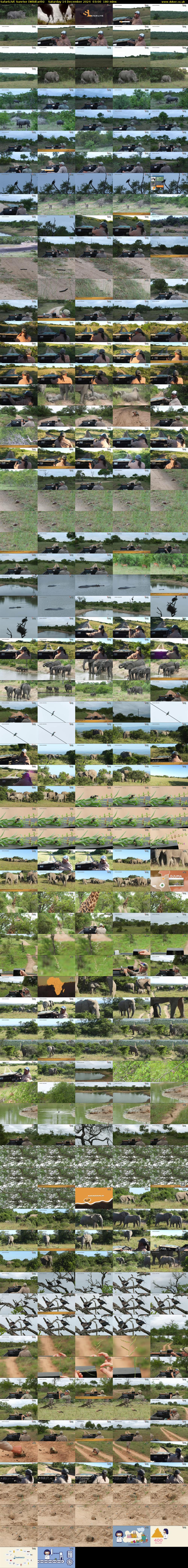 SafariLIVE Sunrise (WildEarth) Saturday 14 December 2024 03:00 - 06:00
