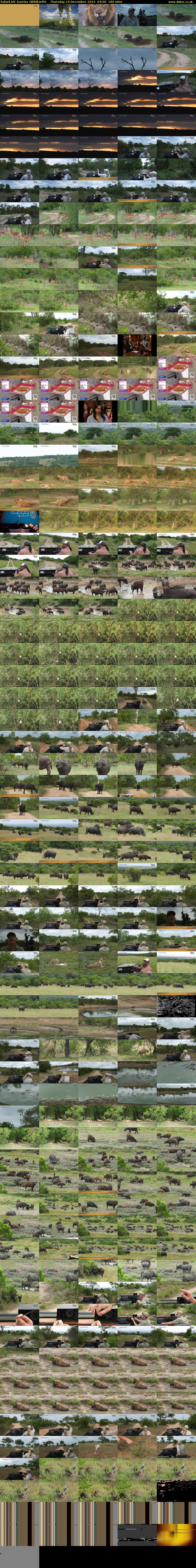 SafariLIVE Sunrise (WildEarth) Thursday 19 December 2024 03:00 - 06:00