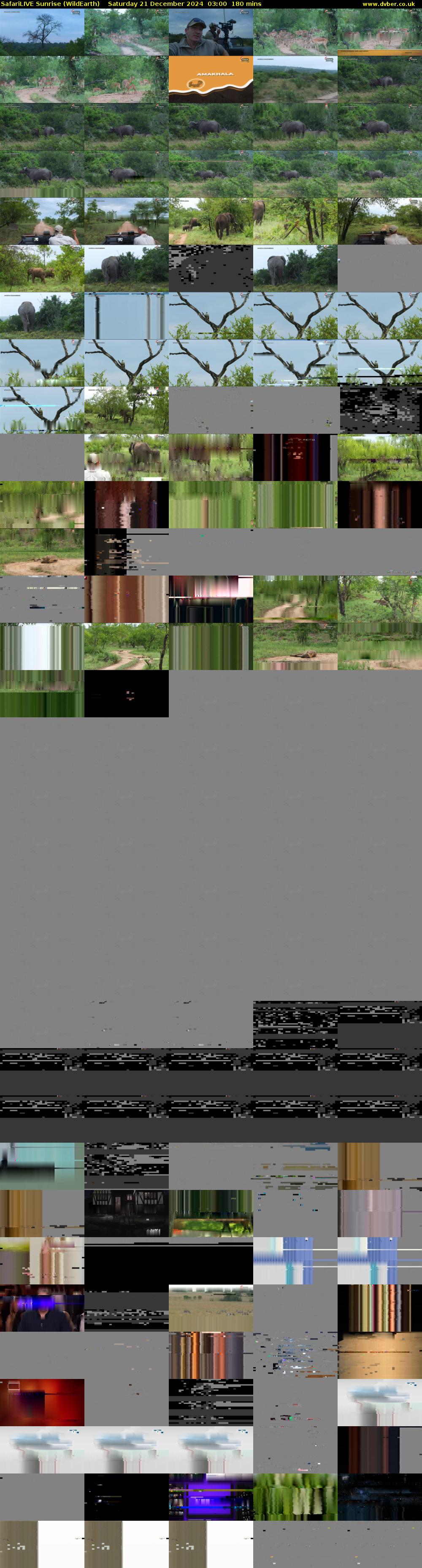 SafariLIVE Sunrise (WildEarth) Saturday 21 December 2024 03:00 - 06:00