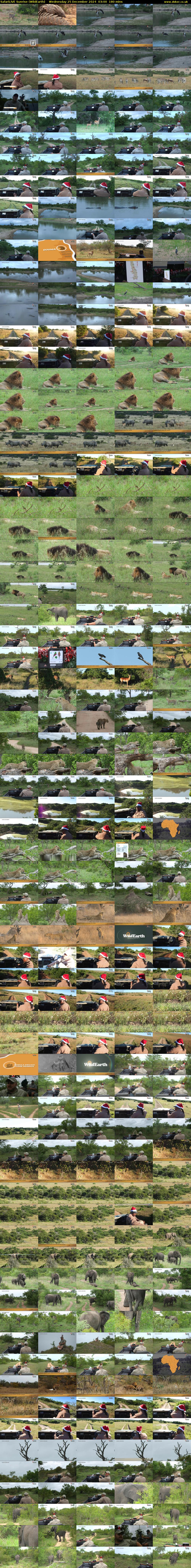SafariLIVE Sunrise (WildEarth) Wednesday 25 December 2024 03:00 - 06:00