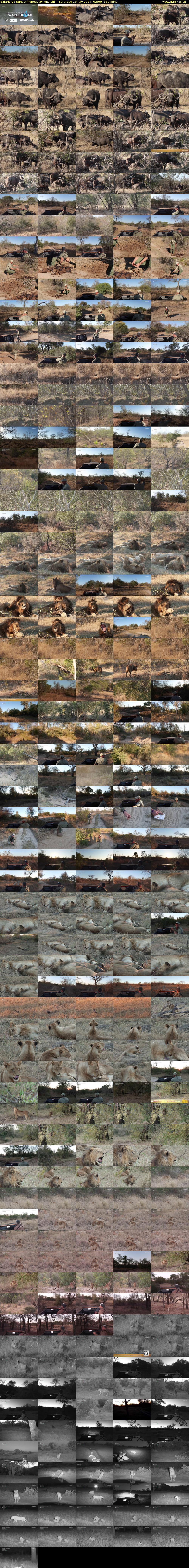 SafariLIVE Sunset Repeat (WildEarth) Saturday 13 July 2024 02:00 - 05:00