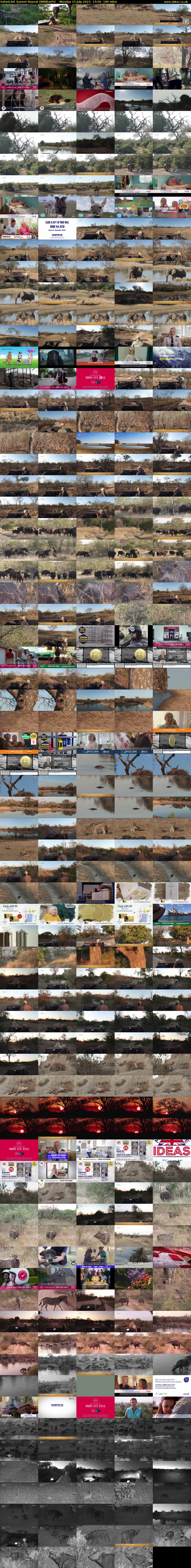 SafariLIVE Sunset Repeat (WildEarth) Monday 15 July 2024 14:00 - 17:00