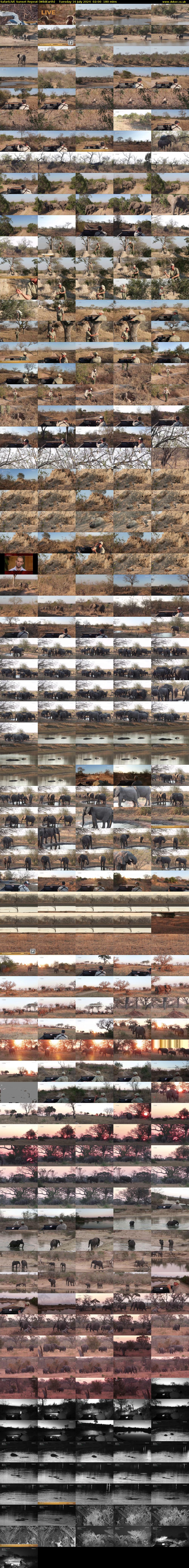 SafariLIVE Sunset Repeat (WildEarth) Tuesday 16 July 2024 02:00 - 05:00