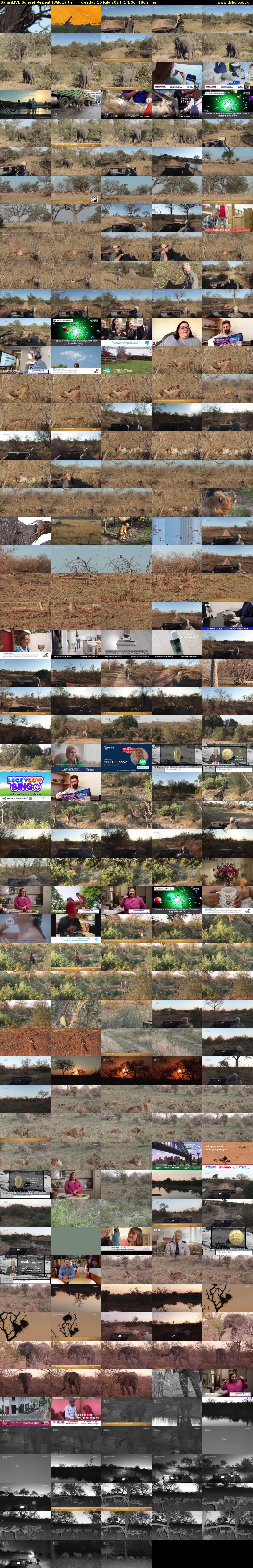 SafariLIVE Sunset Repeat (WildEarth) Tuesday 16 July 2024 14:00 - 17:00