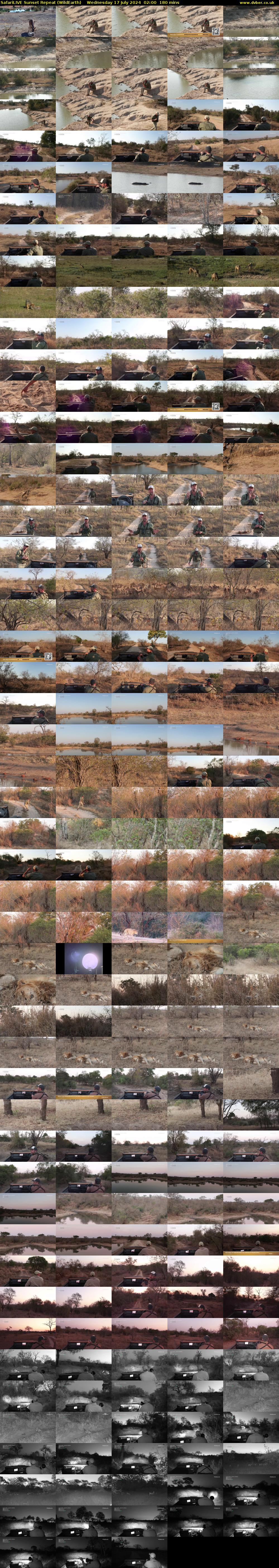 SafariLIVE Sunset Repeat (WildEarth) Wednesday 17 July 2024 02:00 - 05:00