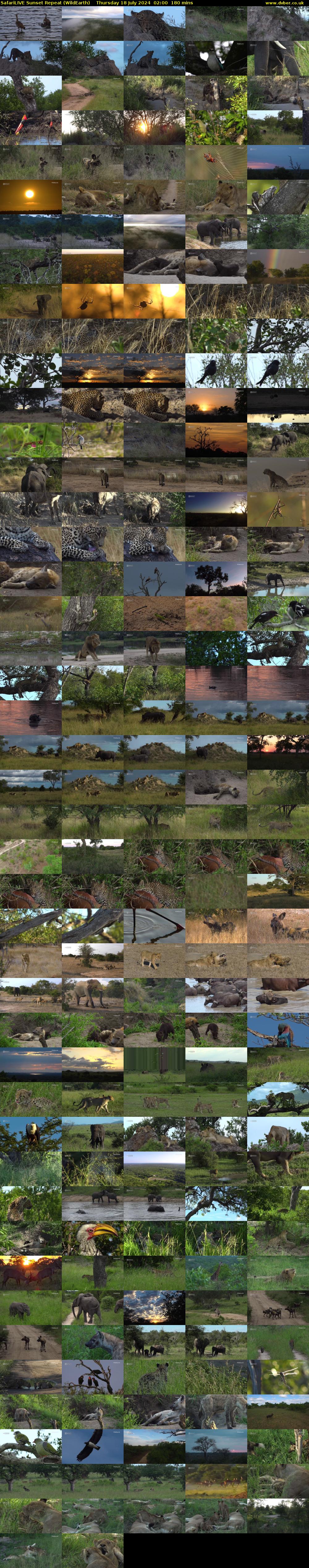 SafariLIVE Sunset Repeat (WildEarth) Thursday 18 July 2024 02:00 - 05:00