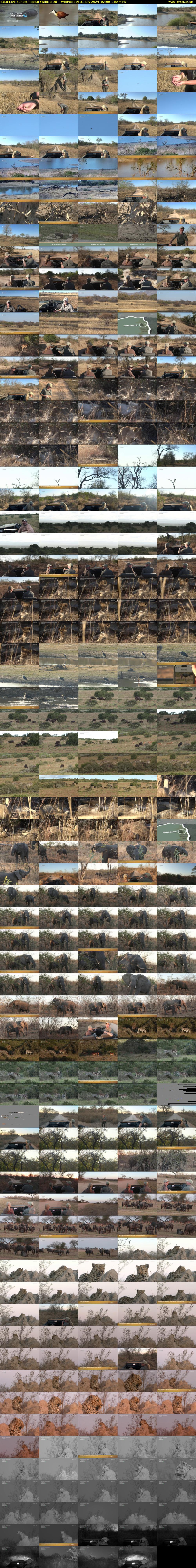 SafariLIVE Sunset Repeat (WildEarth) Wednesday 31 July 2024 02:00 - 05:00