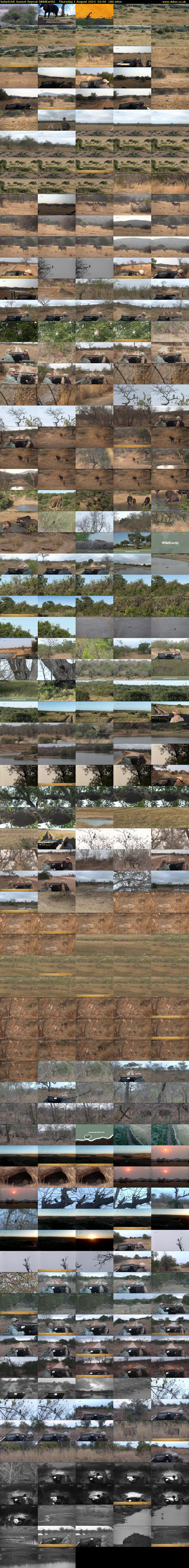 SafariLIVE Sunset Repeat (WildEarth) Thursday 1 August 2024 02:00 - 05:00