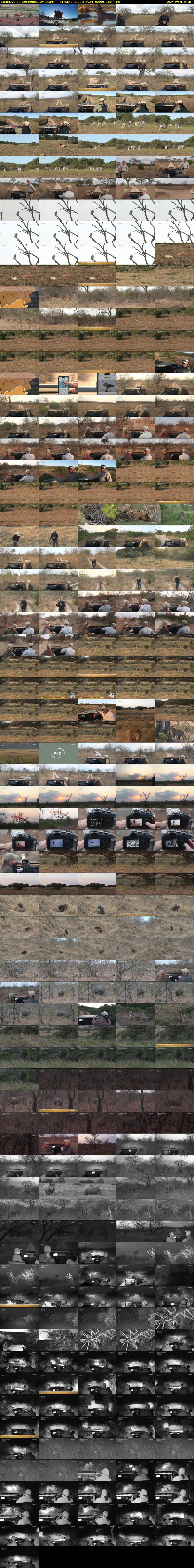 SafariLIVE Sunset Repeat (WildEarth) Friday 2 August 2024 02:00 - 05:00