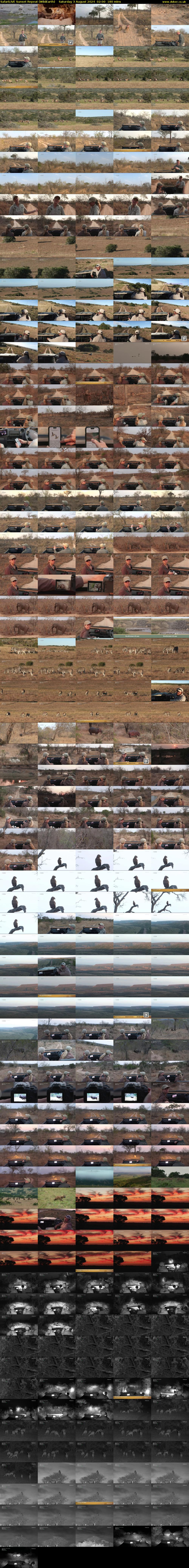 SafariLIVE Sunset Repeat (WildEarth) Saturday 3 August 2024 02:00 - 05:00