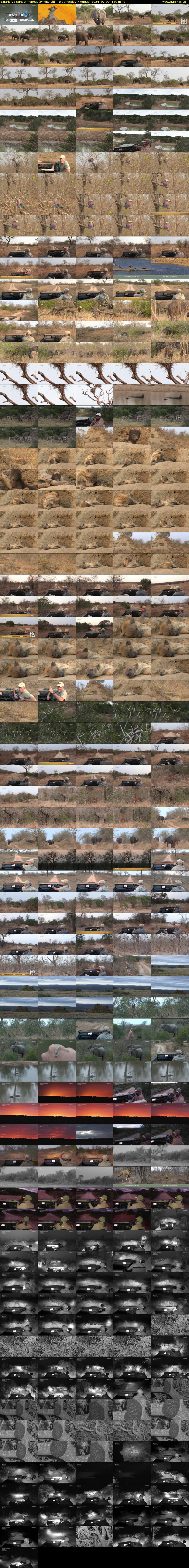 SafariLIVE Sunset Repeat (WildEarth) Wednesday 7 August 2024 02:00 - 05:00