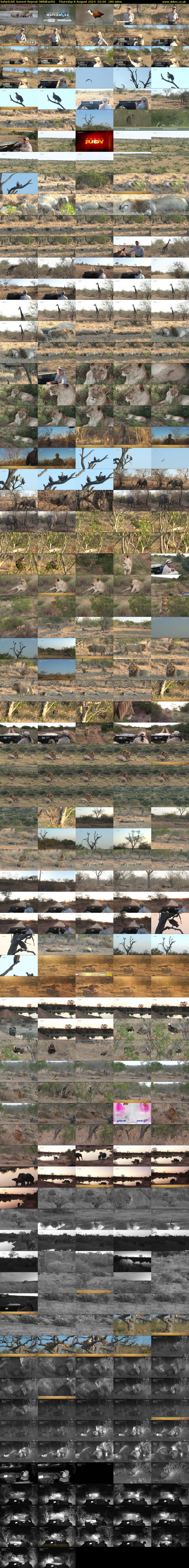 SafariLIVE Sunset Repeat (WildEarth) Thursday 8 August 2024 02:00 - 05:00