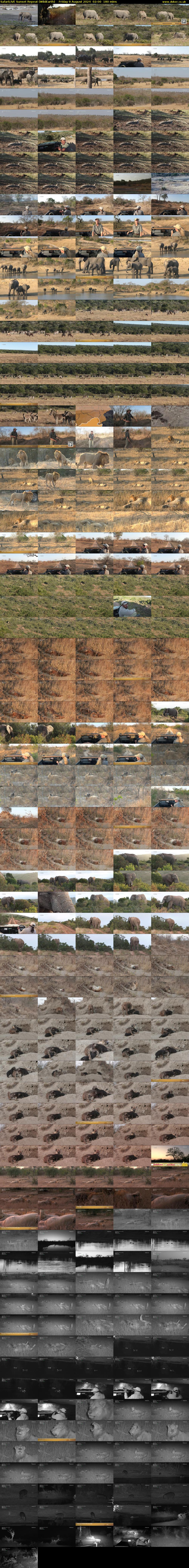 SafariLIVE Sunset Repeat (WildEarth) Friday 9 August 2024 02:00 - 05:00