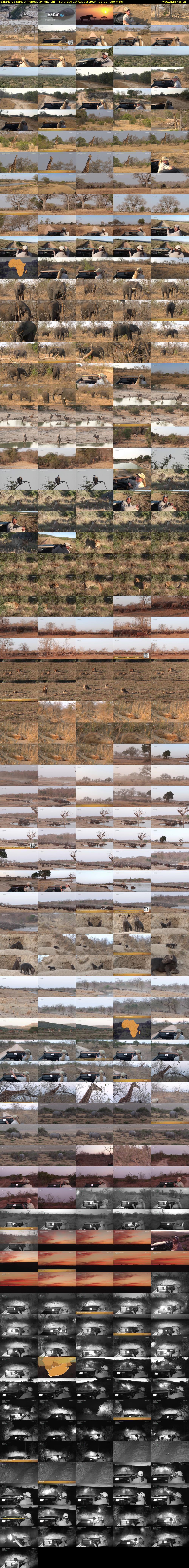 SafariLIVE Sunset Repeat (WildEarth) Saturday 10 August 2024 02:00 - 05:00