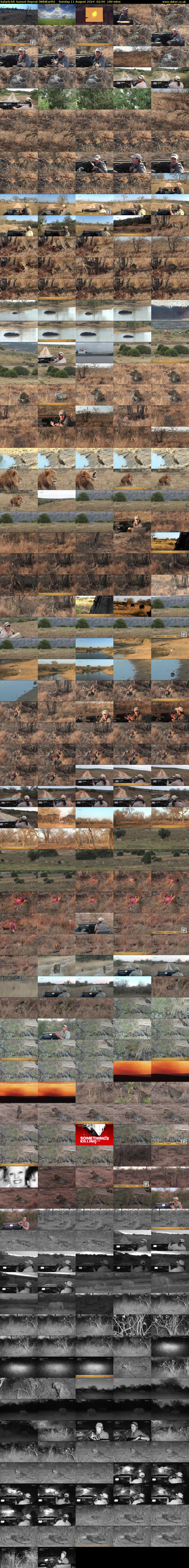 SafariLIVE Sunset Repeat (WildEarth) Sunday 11 August 2024 02:00 - 05:00