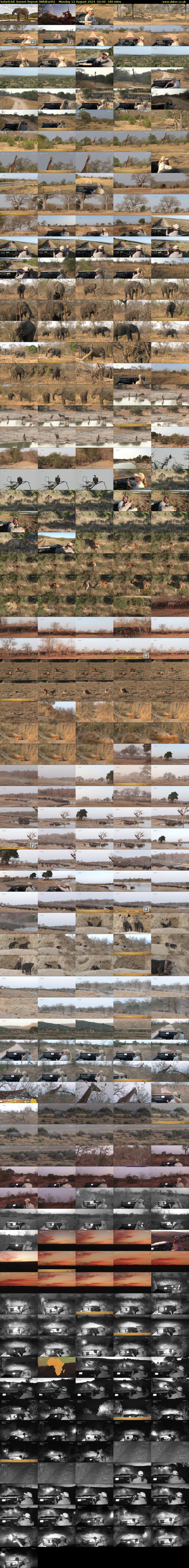 SafariLIVE Sunset Repeat (WildEarth) Monday 12 August 2024 02:00 - 05:00