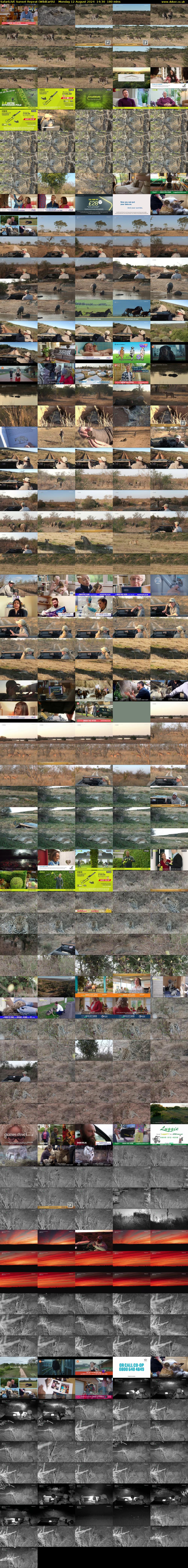 SafariLIVE Sunset Repeat (WildEarth) Monday 12 August 2024 14:30 - 17:30