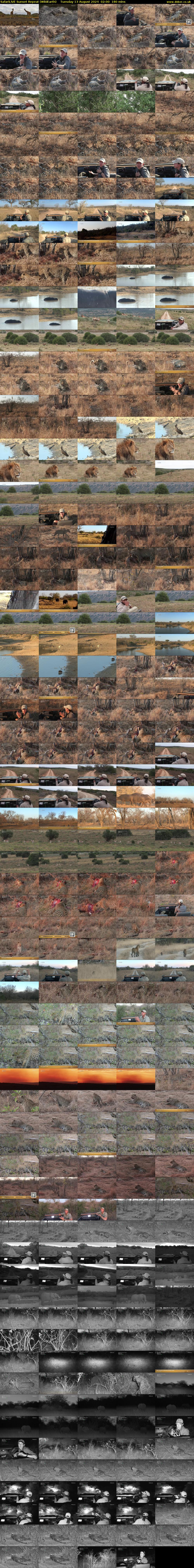 SafariLIVE Sunset Repeat (WildEarth) Tuesday 13 August 2024 02:00 - 05:00