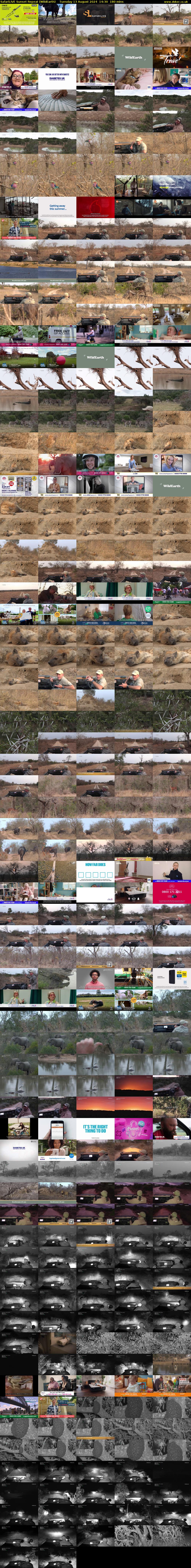 SafariLIVE Sunset Repeat (WildEarth) Tuesday 13 August 2024 14:30 - 17:30