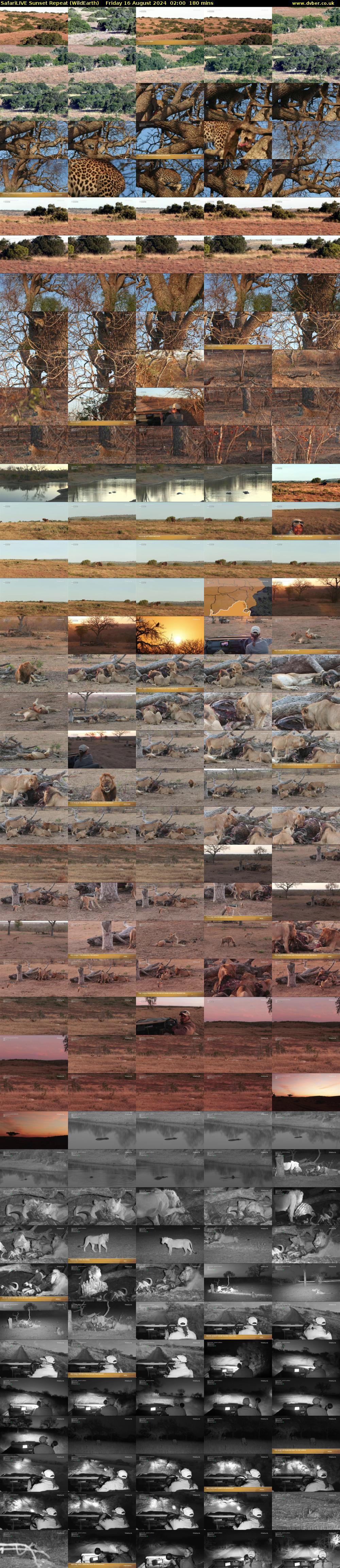 SafariLIVE Sunset Repeat (WildEarth) Friday 16 August 2024 02:00 - 05:00