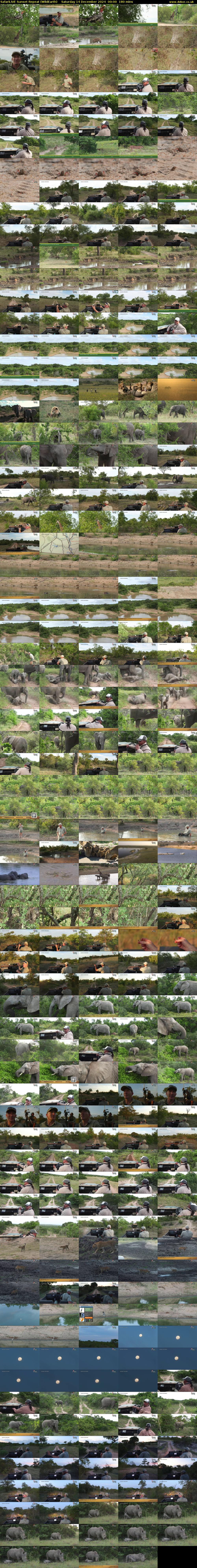 SafariLIVE Sunset Repeat (WildEarth) Saturday 14 December 2024 00:00 - 03:00