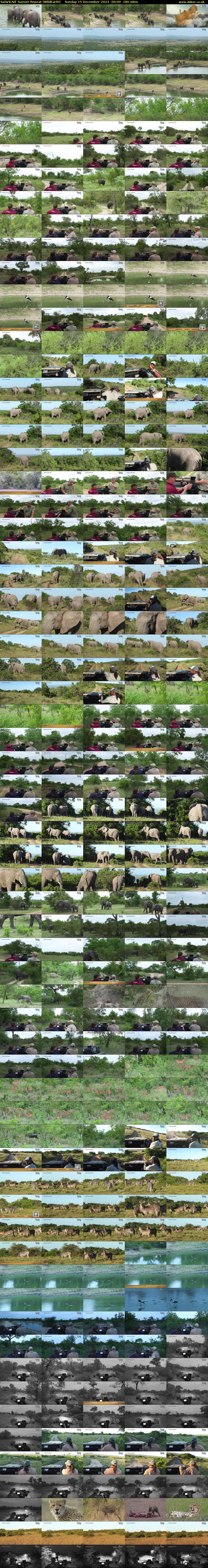 SafariLIVE Sunset Repeat (WildEarth) Sunday 15 December 2024 00:00 - 03:00