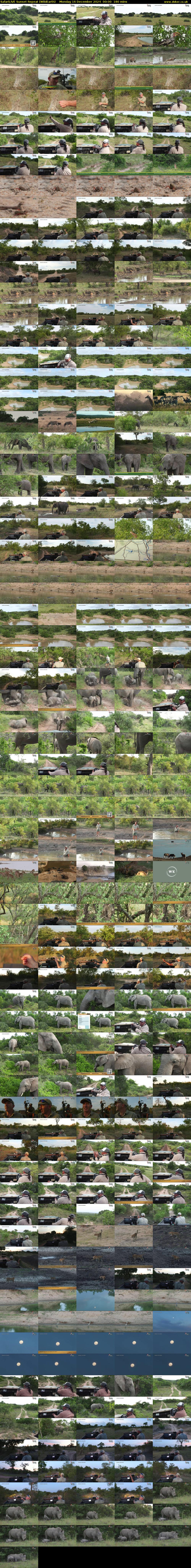 SafariLIVE Sunset Repeat (WildEarth) Monday 16 December 2024 00:00 - 03:00