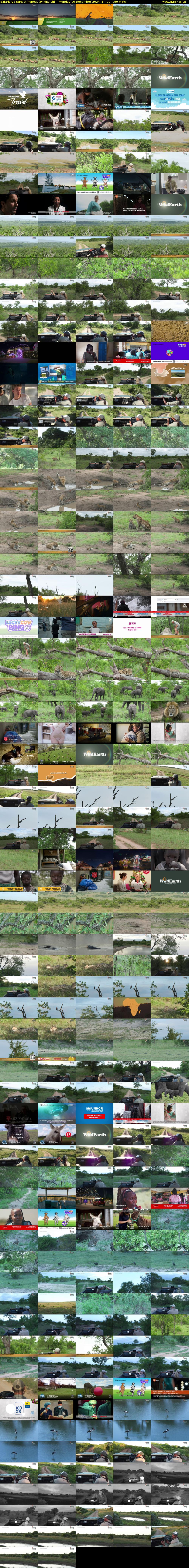 SafariLIVE Sunset Repeat (WildEarth) Monday 16 December 2024 14:00 - 17:00