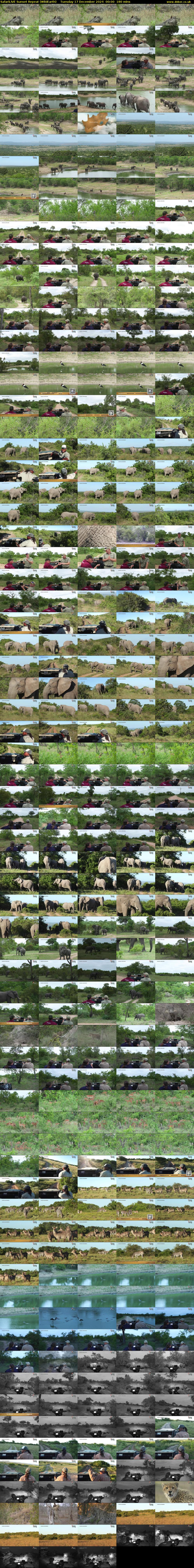 SafariLIVE Sunset Repeat (WildEarth) Tuesday 17 December 2024 00:00 - 03:00