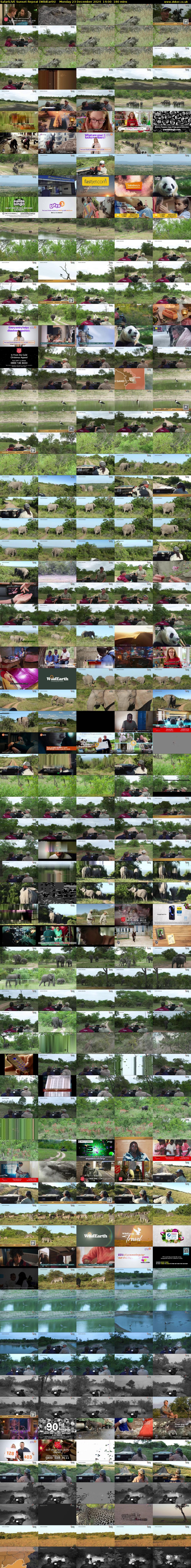 SafariLIVE Sunset Repeat (WildEarth) Monday 23 December 2024 14:00 - 17:00