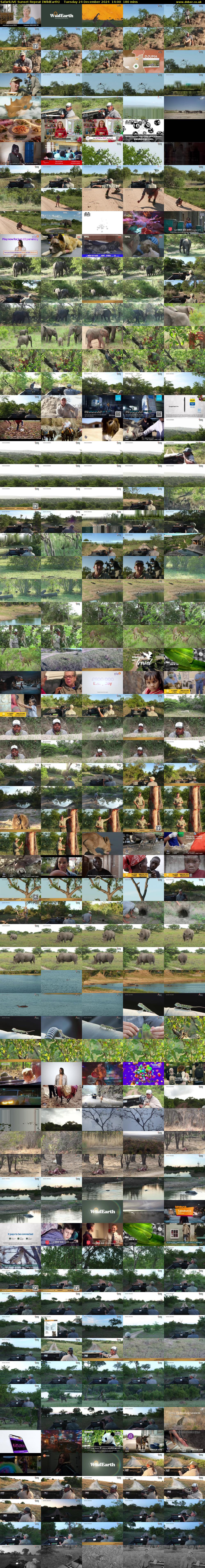 SafariLIVE Sunset Repeat (WildEarth) Tuesday 24 December 2024 14:00 - 17:00