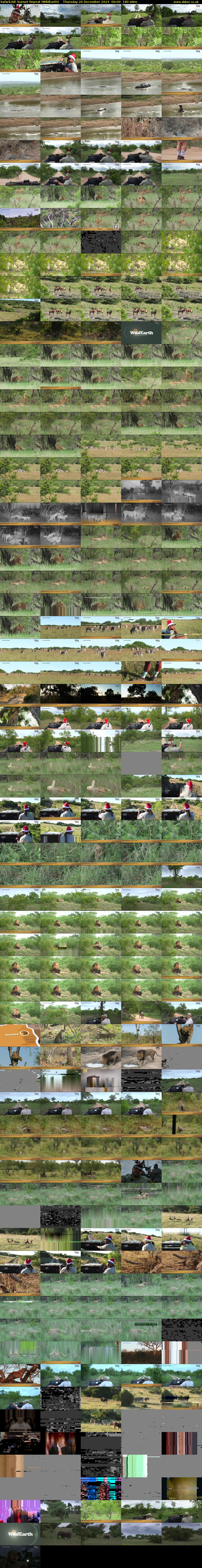 SafariLIVE Sunset Repeat (WildEarth) Thursday 26 December 2024 00:00 - 03:00