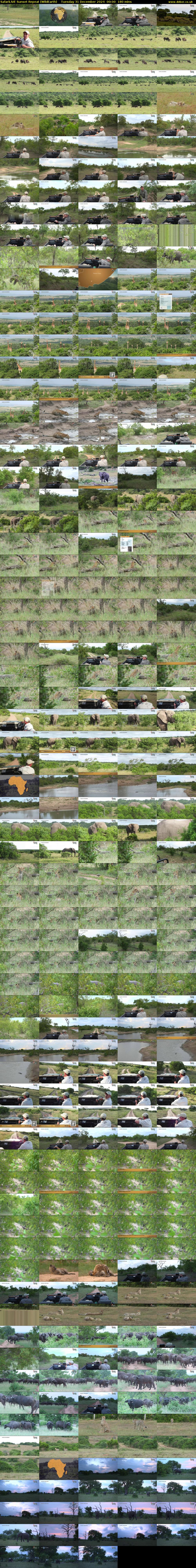 SafariLIVE Sunset Repeat (WildEarth) Tuesday 31 December 2024 00:00 - 03:00
